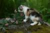 img_4848_small.jpg