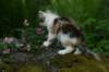 img_4849_small.jpg