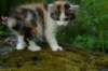 img_4855_small.jpg