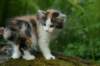 img_4856_small.jpg