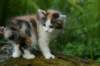 img_4857_small.jpg