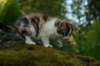 img_4865_small.jpg