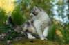img_4870_small.jpg