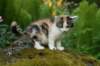 img_4888_small.jpg