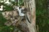 img_8212_small.jpg