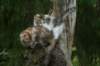 img_8266_small.jpg