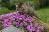 img_3271_small.jpg