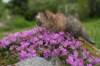 img_3273_small.jpg