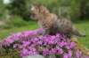 img_3277_small.jpg
