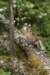 img_3288_small.jpg