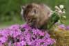 img_3317_small.jpg