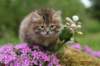 img_3324_small.jpg