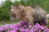 img_3336_small.jpg