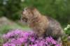 img_3346_small.jpg