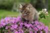 img_3353_small.jpg