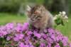 img_3354_small.jpg