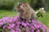 img_3356_small.jpg