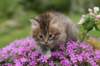 img_3364_small.jpg