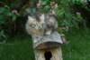 cassia7weeks18620124_small.jpg