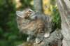 img_4745_small.jpg