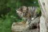 img_4750_small.jpg