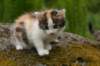 img_3539_small.jpg