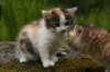 img_3546_small.jpg