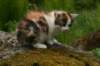 img_3563_small.jpg