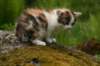 img_3565_small.jpg