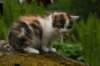 img_3566_small.jpg