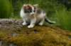 img_3587_small.jpg
