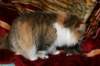 img_1732_small.jpg