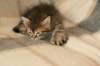 img_4663_small.jpg