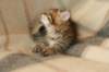 img_4672_small.jpg