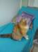batsebaakaalinaabout1years2652013photomariliikola28_small.jpg