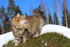 img_7536_small.jpg