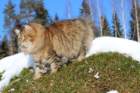 img_7541_small.jpg