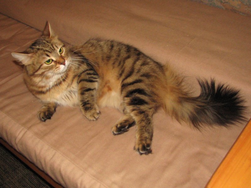 bonita15vuotiaanabonita15yearsold212200714.jpg