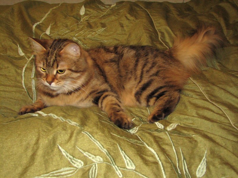bonita15vuotiaanabonita15yearsold212200717.jpg