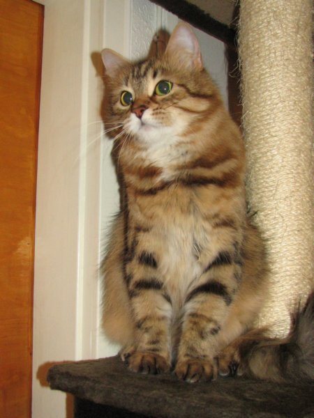bonita15vuotiaanabonita15yearsold21220072.jpg