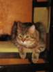 bonita15vuotiaanabonita15yearsold21220078_small.jpg