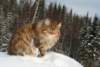 Photo Number 33