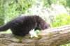 chana95weeks295202621_small.jpg