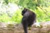 chana95weeks295202622_small.jpg