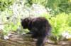 chana95weeks29520262_small.jpg