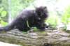 chanoch95weeks29520267_small.jpg