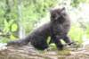chanoch95weeks29520268_small.jpg