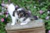 chaviva13viikkoa216202625_small.jpg
