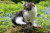 chulda105viikkoa56202624_small.jpg