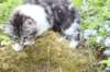 chulda105viikkoa56202652_small.jpg